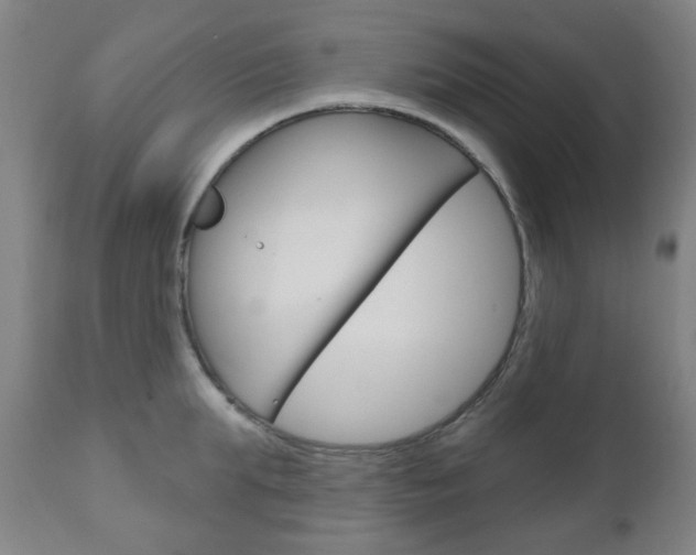 X0000111050903200906251117