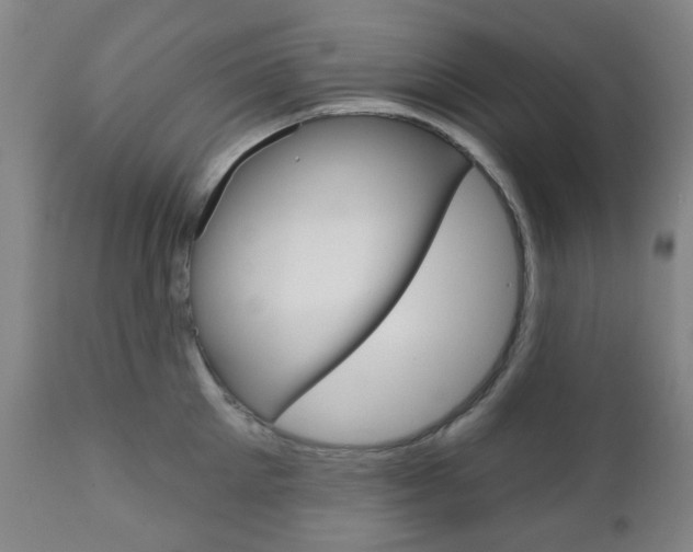 X0000111050905200906251117