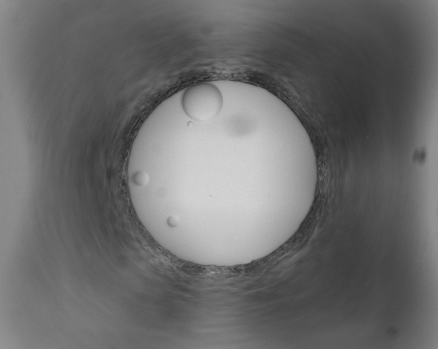 X0000111050913200906251116