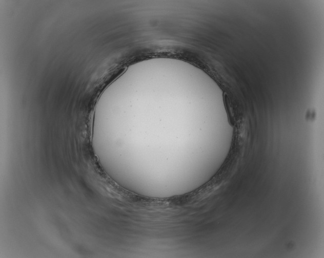 X0000111050916200906251116