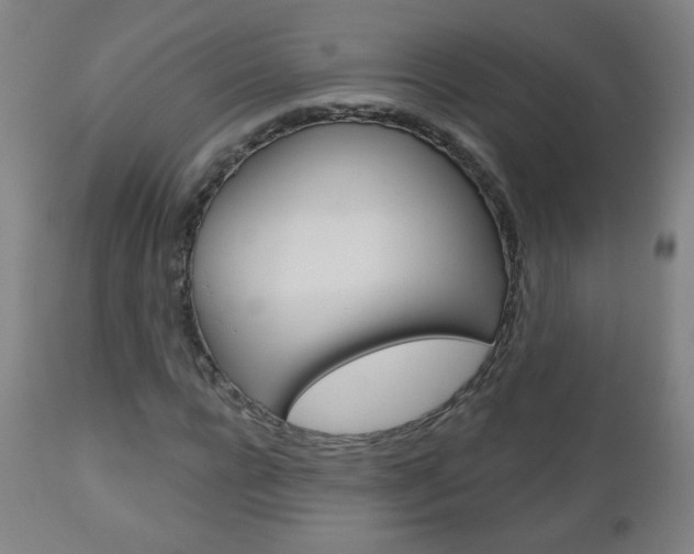 X0000111050920200906251116