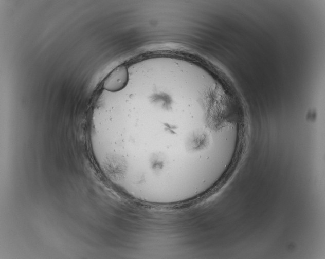 X0000111050921200906251116