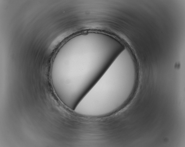 X0000111050922200906251116