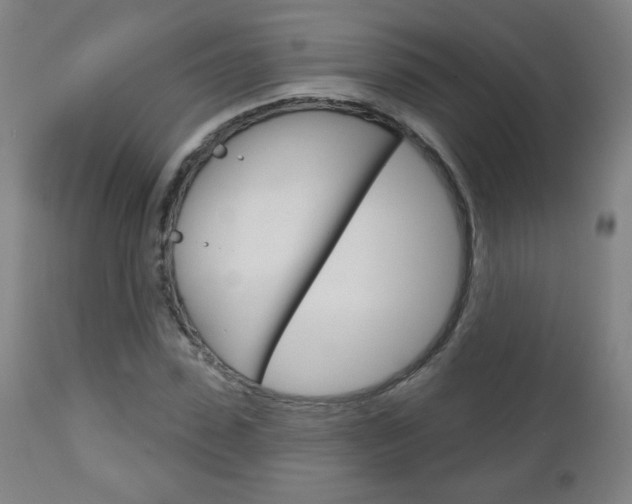 X0000111050923200906251116