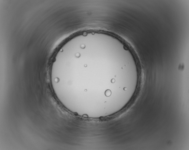 X0000111050925200906251116