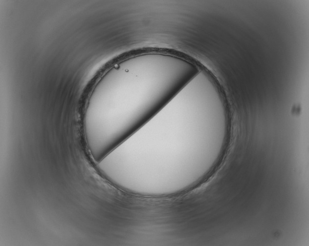 X0000111050926200906251116