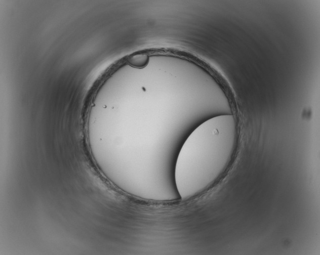 X0000111050927200906251116