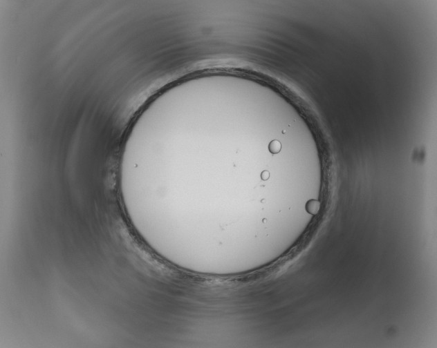 X0000111050929200906251116