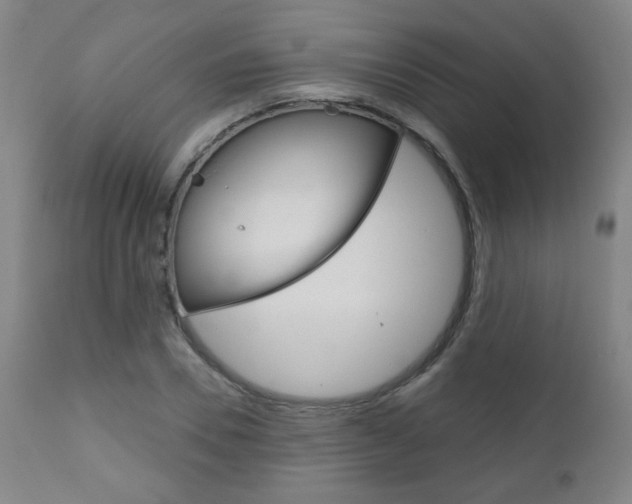 X0000111050930200906251116