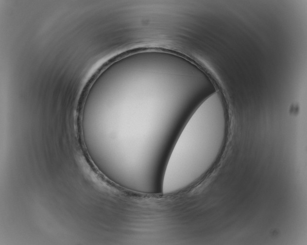 X0000111050932200906251116