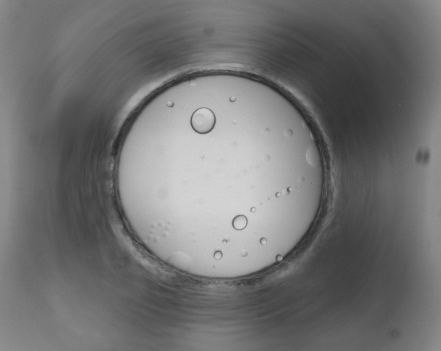 X0000111050933200906251116