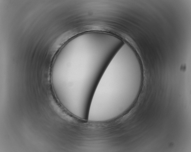 X0000111050938200906251116