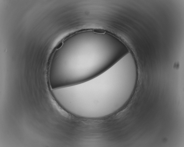 X0000111050942200906251116