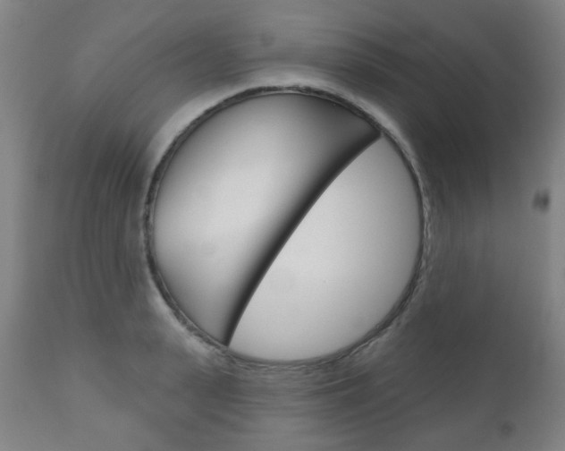X0000111050943200906251116