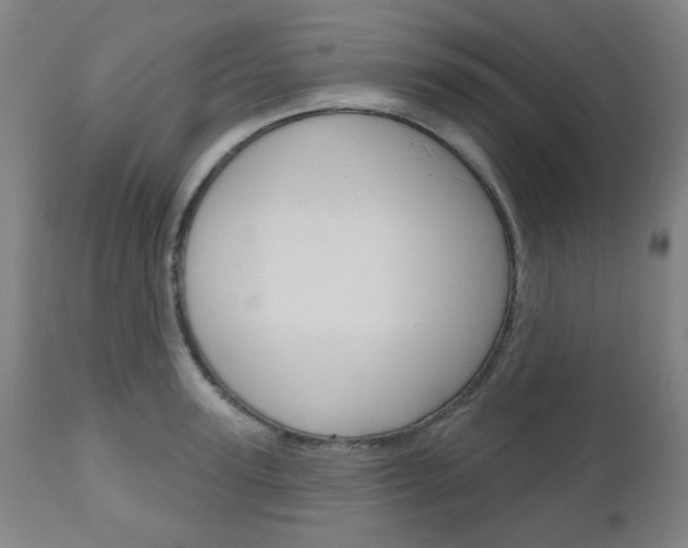 X0000111050947200906251116