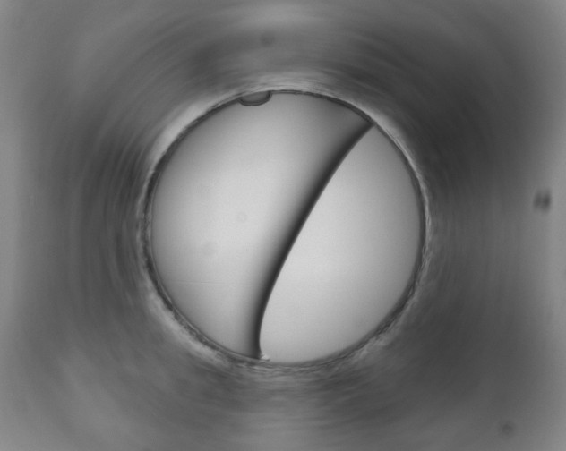 X0000111050949200906251116