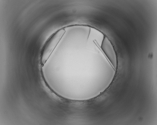 X0000111050950200906251116