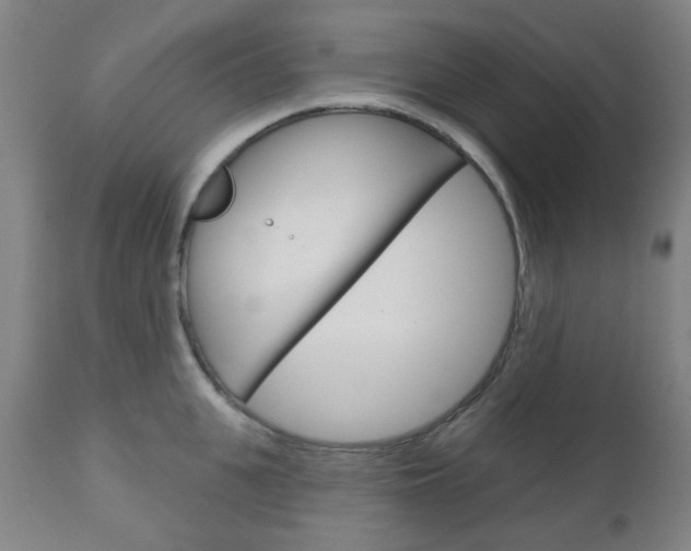 X0000111050951200906251116
