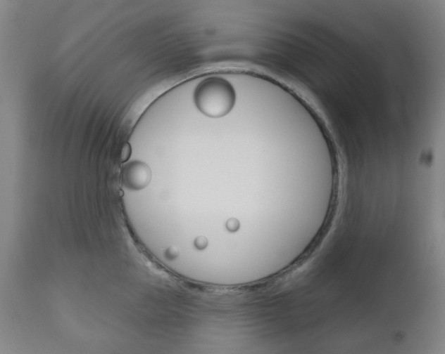 X0000111050953200906251116