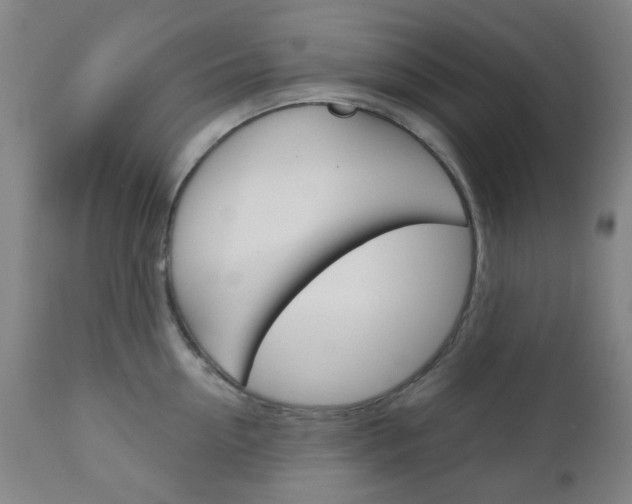 X0000111050954200906251116