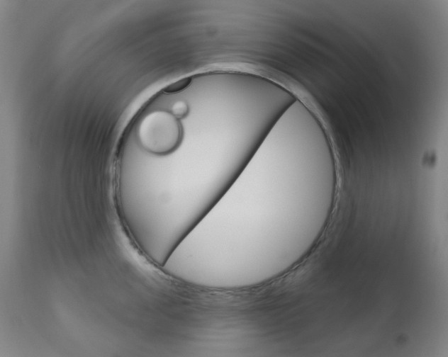 X0000111050955200906251116