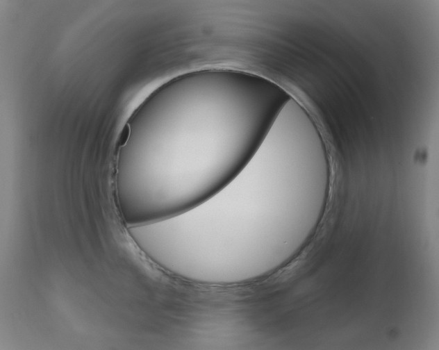 X0000111050956200906251116