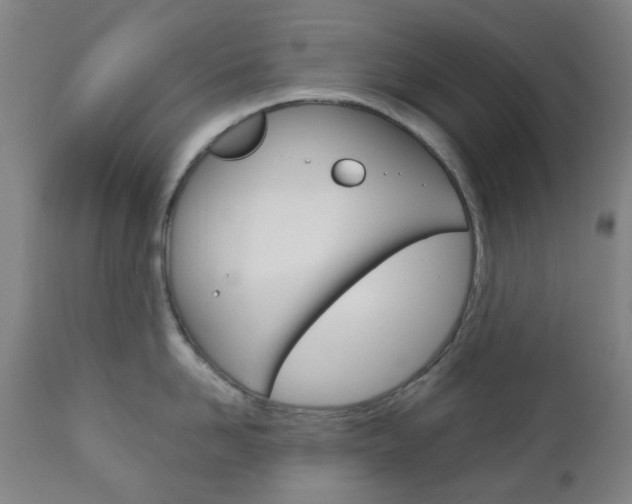 X0000111050958200906251116
