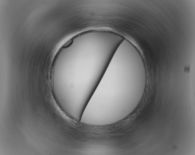 X0000111050959200906251116