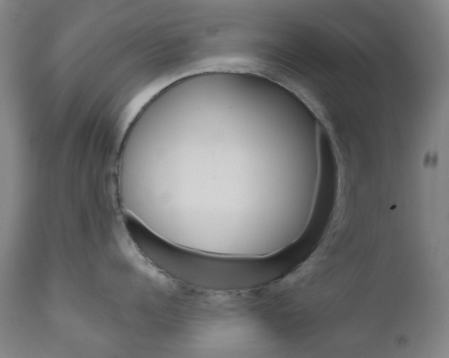 X0000111050960200906251116