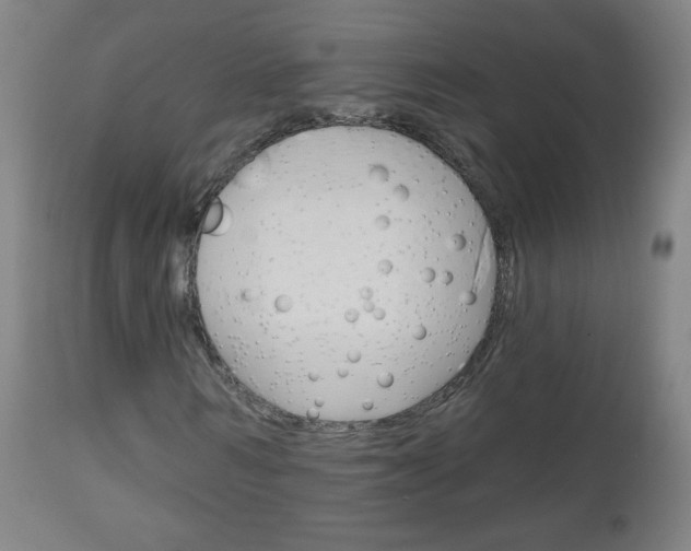 X0000111050962200906251116