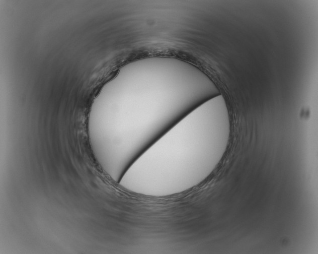 X0000111050964200906251115