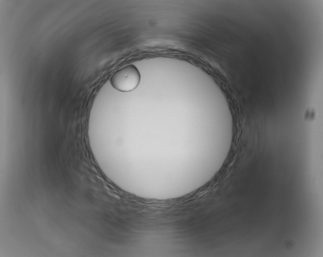 X0000111050965200906251115