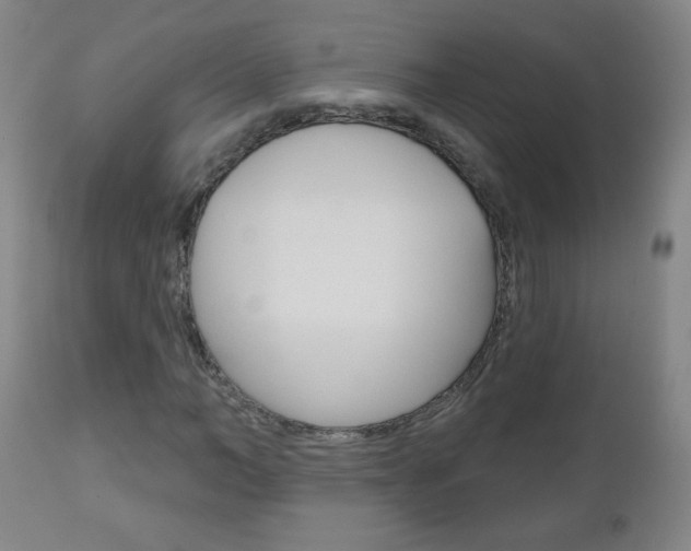 X0000111050966200906251115