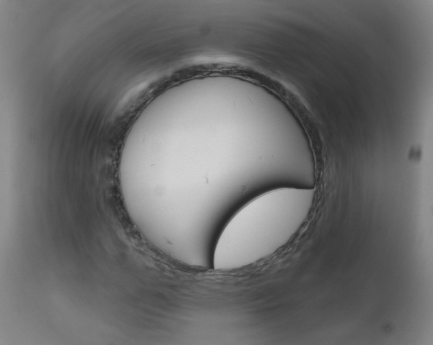 X0000111050967200906251115