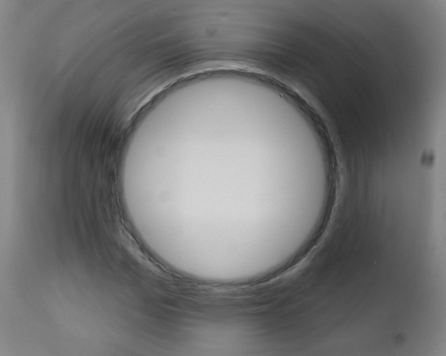 X0000111050969200906251115