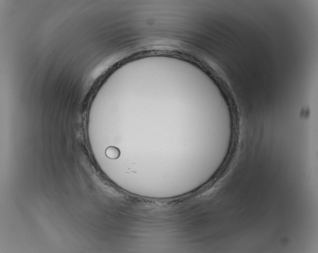X0000111050970200906251115