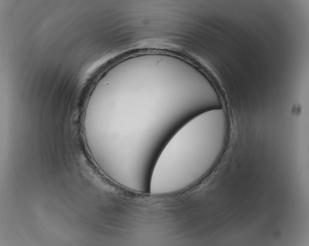 X0000111050971200906251115