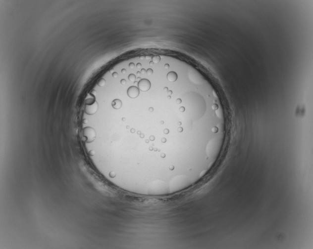 X0000111050974200906251115