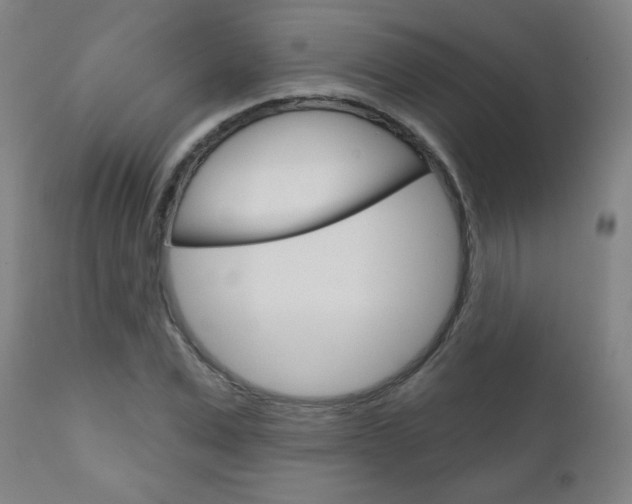 X0000111050975200906251115