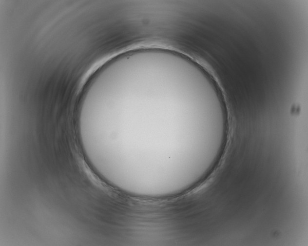 X0000111050981200906251115