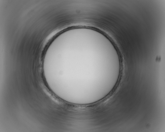 X0000111050982200906251115