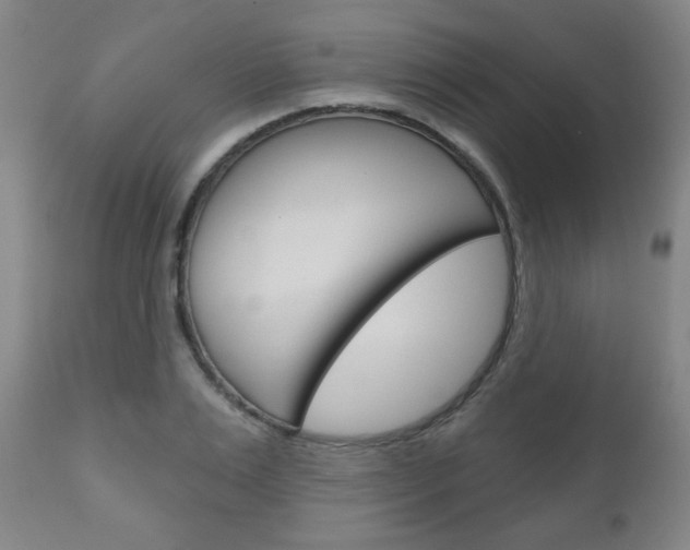 X0000111050983200906251115