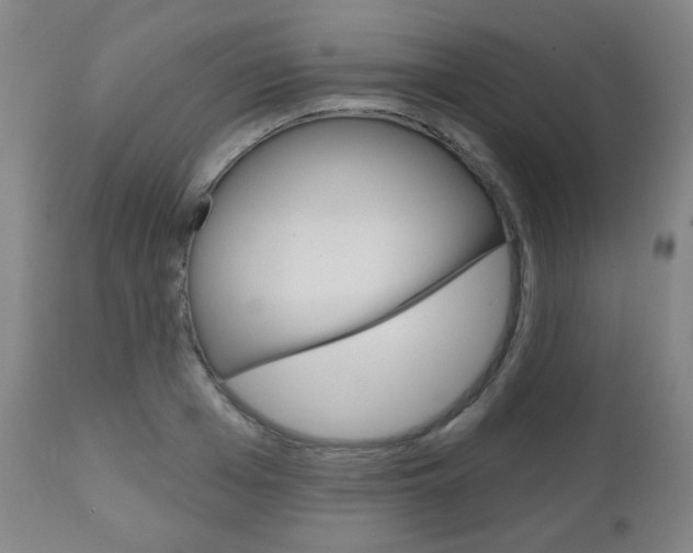 X0000111050985200906251115