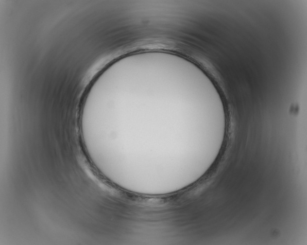 X0000111050986200906251115