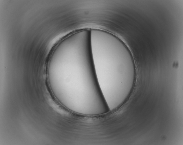 X0000111050987200906251115