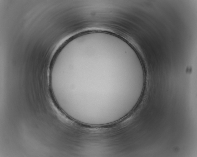 X0000111050988200906251115