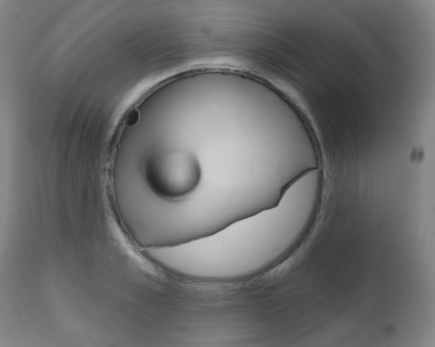 X0000111050989200906251115