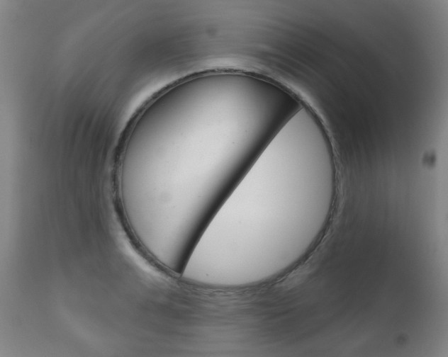 X0000111050991200906251115