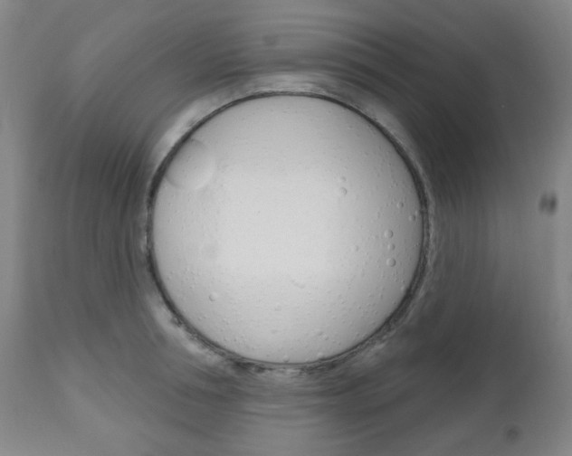 X0000111050994200906251115