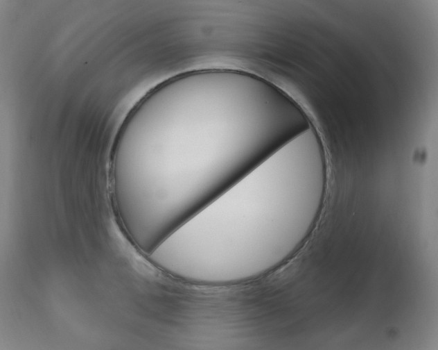 X0000111050996200906251115